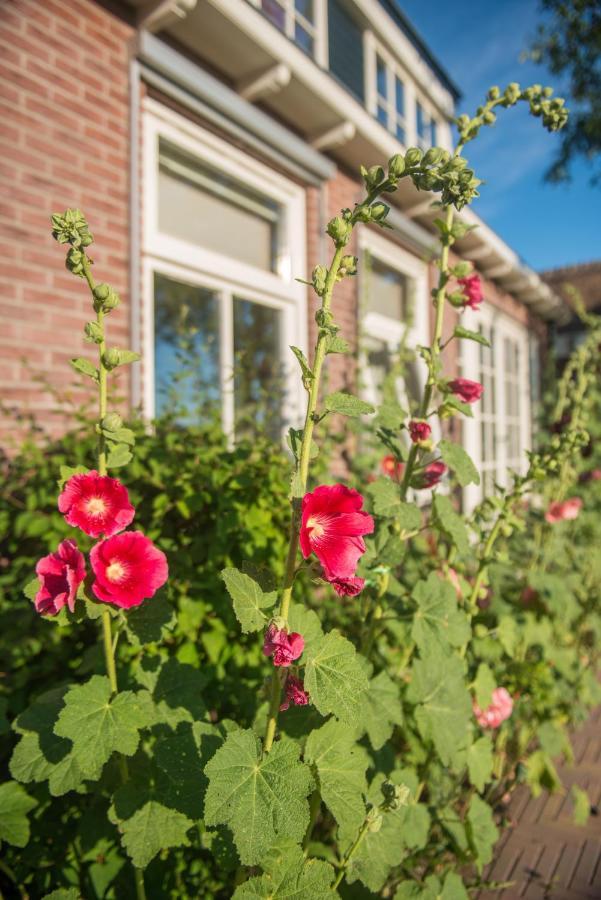Broeks' Bed En Brood Bed & Breakfast Meerkerk Dış mekan fotoğraf